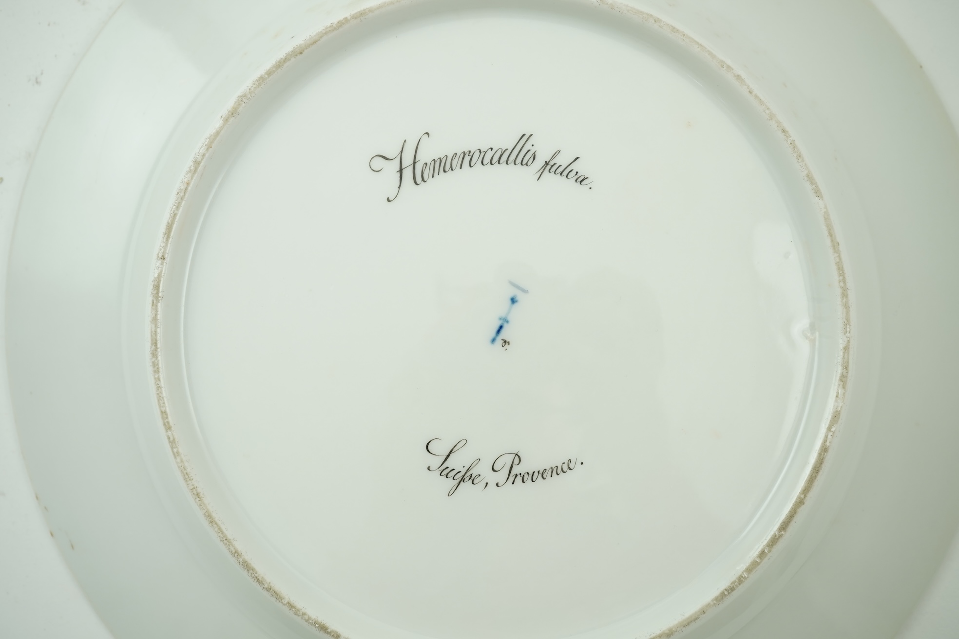 A KPM Berlin Orange day-lily botanical specimen plate, c.1806-9